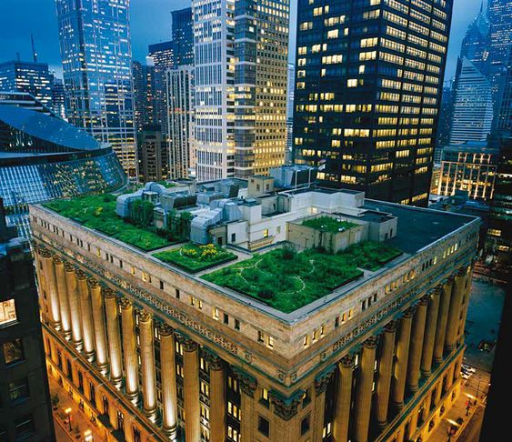 Chicago City Hall in Chicago, IL, USA
green roofs 