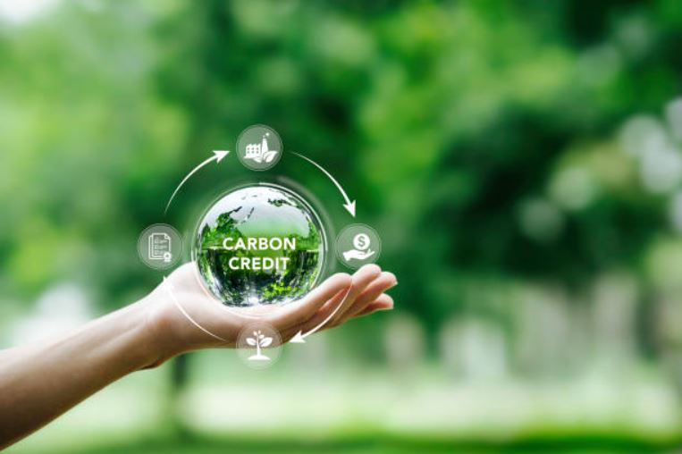 Race to Net Zero and The Voluntary Carbon Markets  predicts that demand for carbon credits could increase by a factor of 15 or more by 2030 and up to 100 by 2050, with the market potentially worth over $50 billion by 2030. 