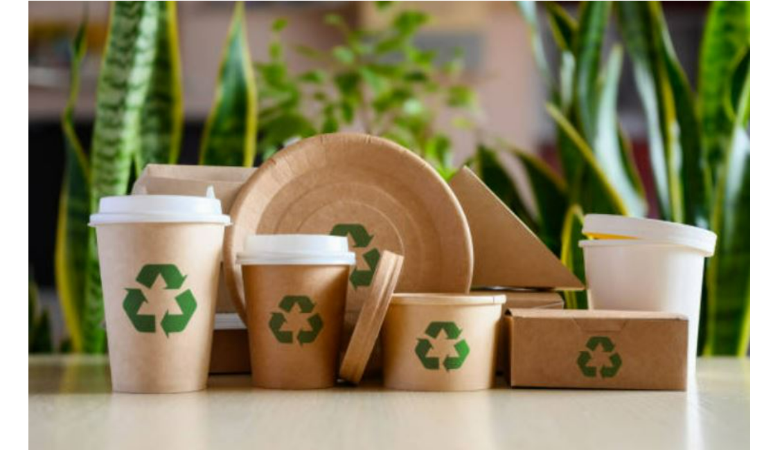 Trash to Treasure: The Green Packaging Revolution